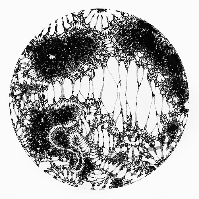 collective thoughts1