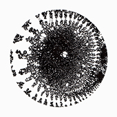 circulation11