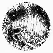collective_thoughts1