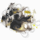 yellowforblack1