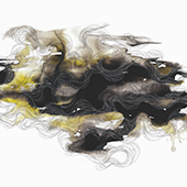 yellowforblack2