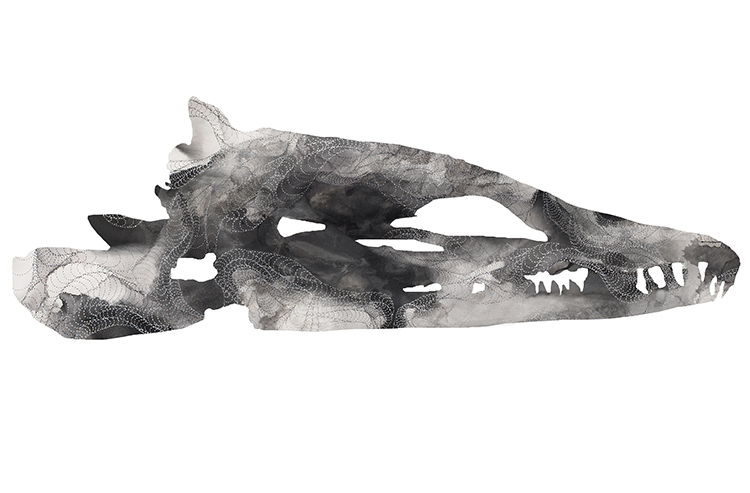 bones3